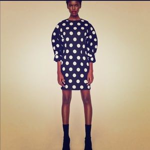 Zara Black and White Polka Dots Dress